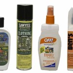 Boy Scout Image -- Bug Spray