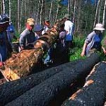 Boy Scout Image - Venture Service Project