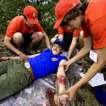 boy Scout Image -- NAYLE