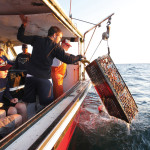 Cape Cod Maritime Adventure Treks