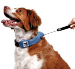 Holiday Gift Guide Release N Run Leash
