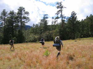 Leave No Trace Backpacking Ethics