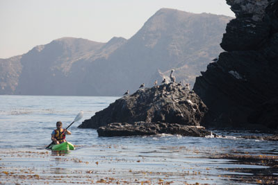 Kayaking Catalina Island Emerald Bay Exploring Kayaking Catalina Island Emerald Bay Exploring