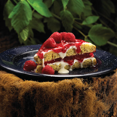 Dutch Treat Poppyberry Cake Dutch Treat Poppyberry Cake